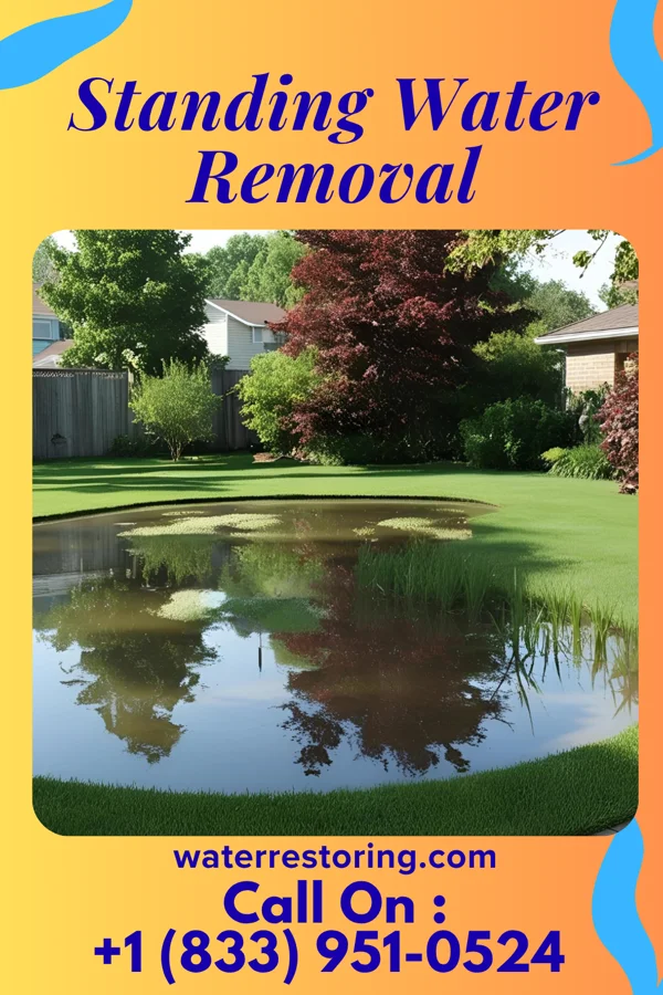Standing Water Removal in Castle, OK